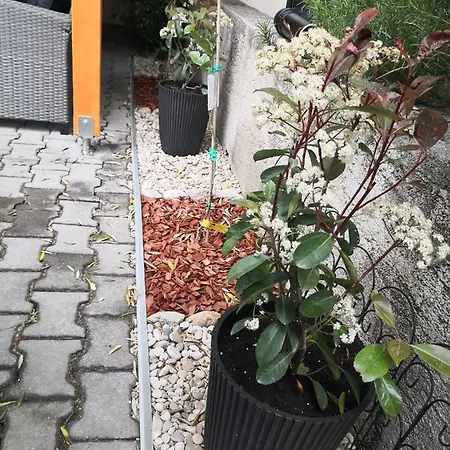 Tomic Apartmán Živogošće