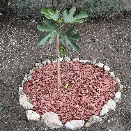 Tomic Apartmán Živogošće