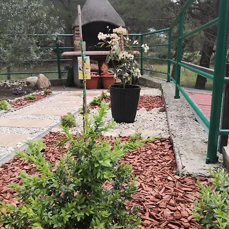Tomic Živogošće